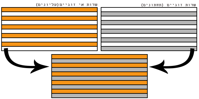 אינטרלייס