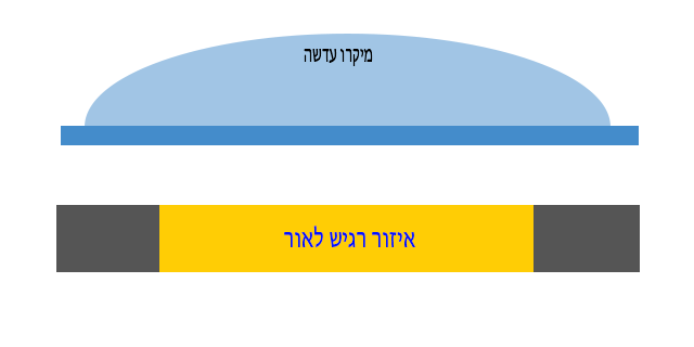 איזור רגיש לאוק