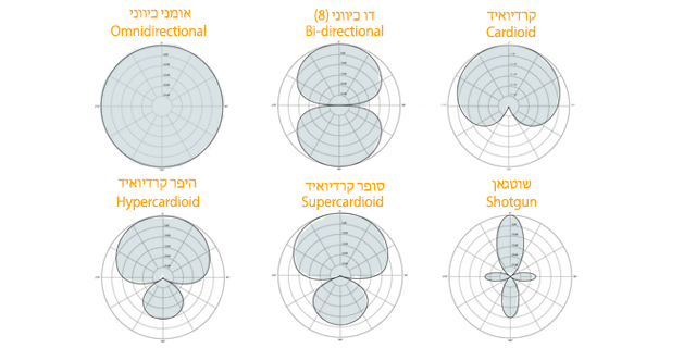 תבניות פולריות נפוצות