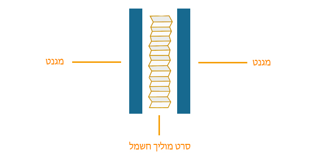 מבנה של מיקרופון סרט (ריבון)